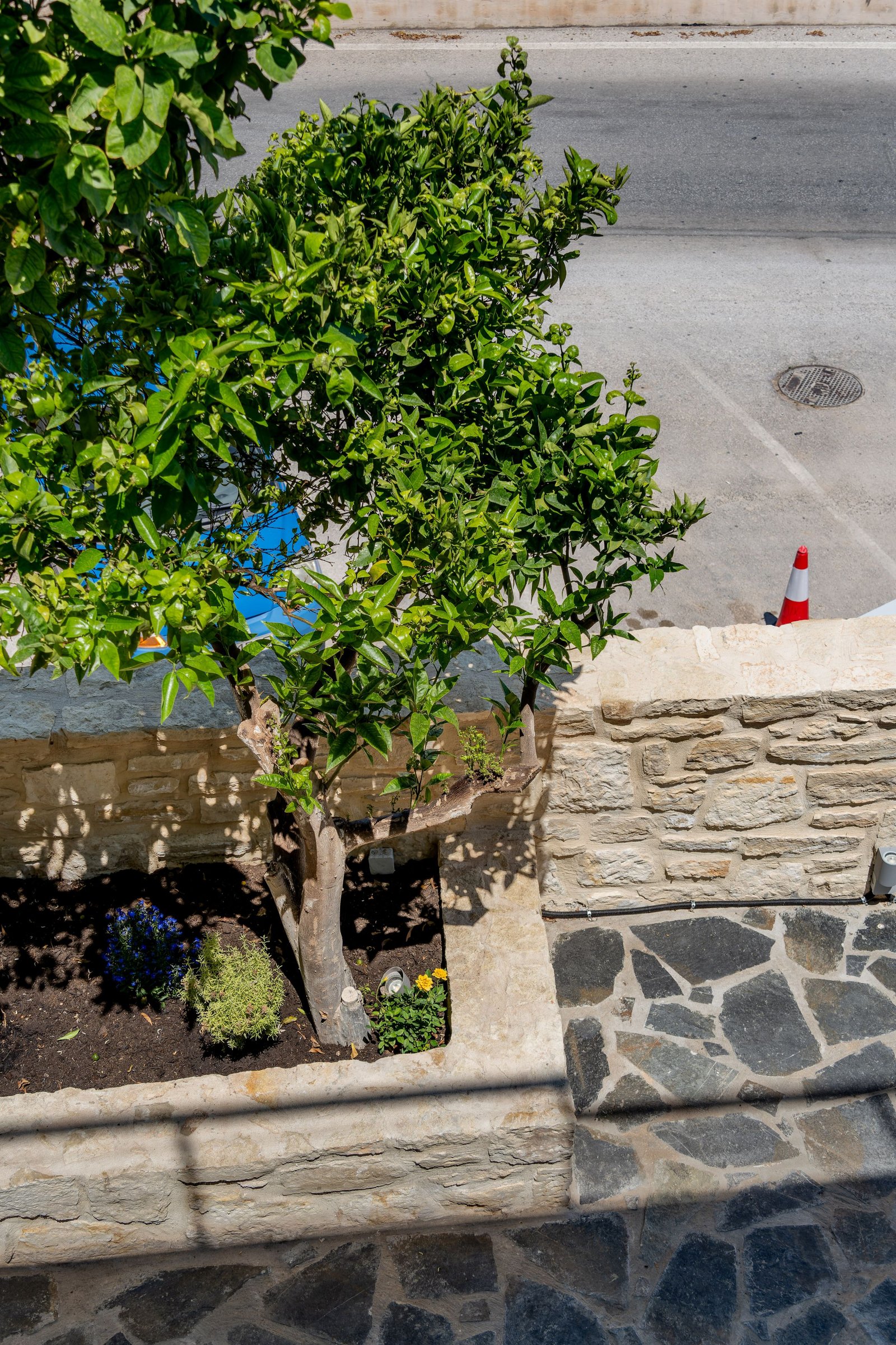 Outdoor space - Photo 17
